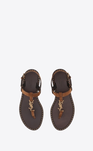 YSL Cassandra Sandals In Mocka Land | TJX253817
