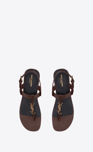 YSL Cassandre Sandals In Smooth Läder Mörkchoklad | VLH605271