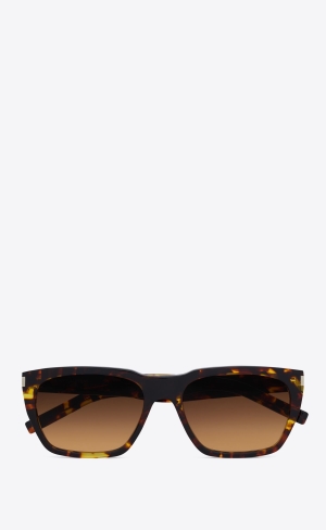 YSL Sl 598 Havana | HJP738250