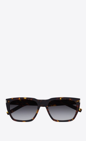 YSL Sl 598 Havana | OYF157480