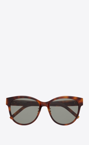 YSL Sl M107/K Medium Havana | BZX936152