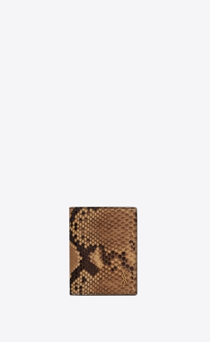 YSL Tiny Cassandre Credit Card Wallet In Python Beige Bruna | SWU820617